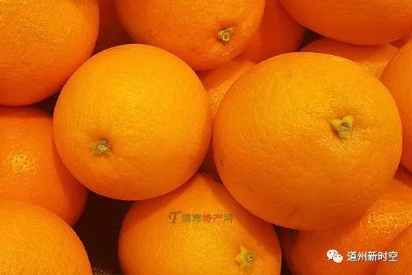 鹅美食_鹅美食_鹅美食